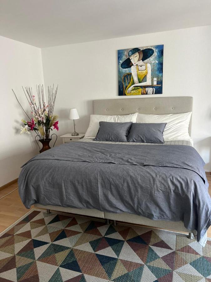 Schweiz Apartment Basel Luaran gambar